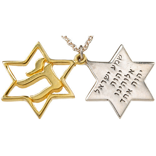 שרשרת כסף טהור 925 כסף טהור כסף