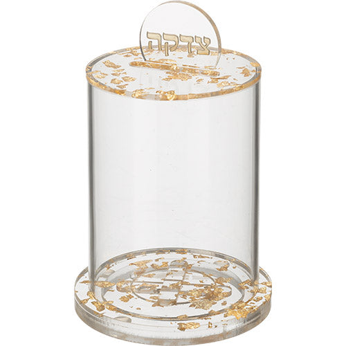 Lucite Tzedakah Box 16×10 cm- Gold