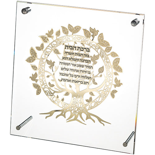 מסגרת אקריליק מהודרת עם פלקטה 23×24 ס״מ פרספקס