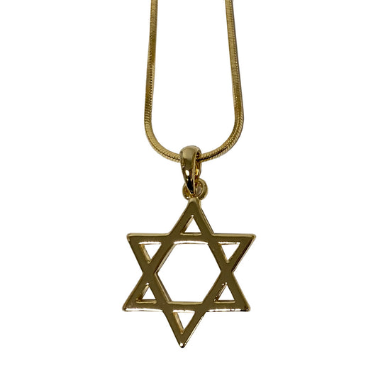 שרשרת רודיום 45 ס״מ מגן דוד מוזהב גדול 2 ס״מ (5 באריזה) ציפוי רודיום זהב